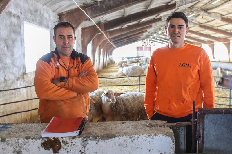 Agricultura lanza las solicitudes para el programa Cultiva 2024