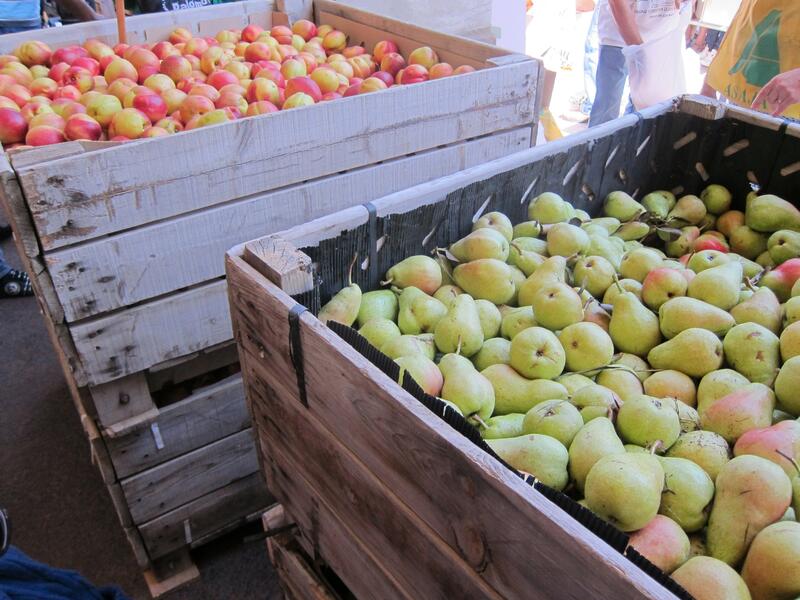 UAGA-COAG denuncia irregularidades y violación de la ley en el mercado de la fruta