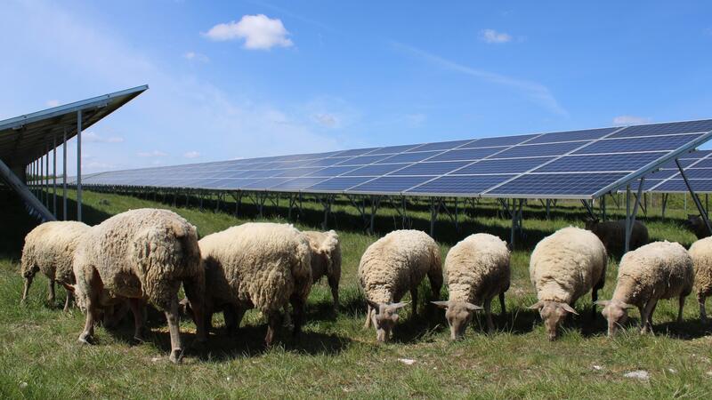 BayWa transforma antiguos terrenos militares en Francia en un innovador ‘hub’ solar de 136 MW