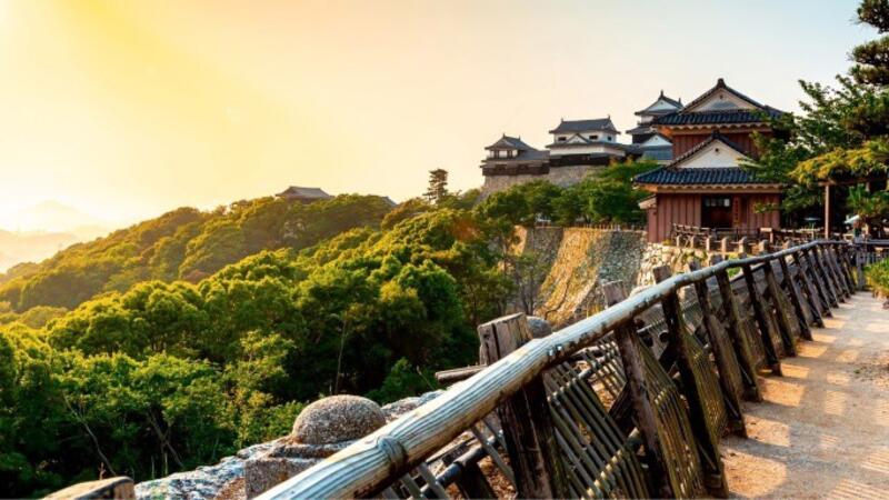 Japón atrae a 3 millones de turistas durante cinco meses seguidos, registrando un 42% más en julio