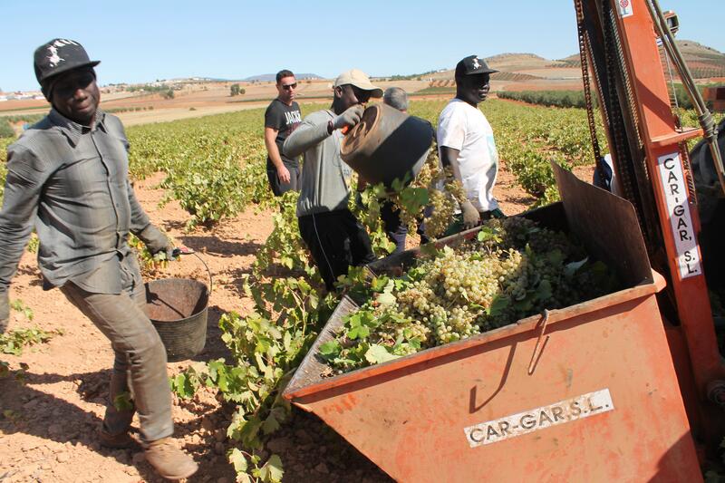 La UPA respalda la creación de acuerdos migratorios con África para cubrir las necesidades laborales en España