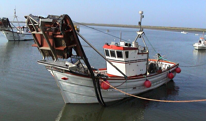 El urgente llamado de las federaciones andaluzas de pesca al Gobierno por la inviable situación del sector