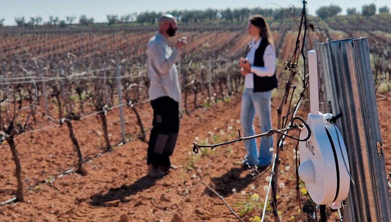 La UPA motiva a agricultores y ganaderos a inscribirse en el Kit Digital