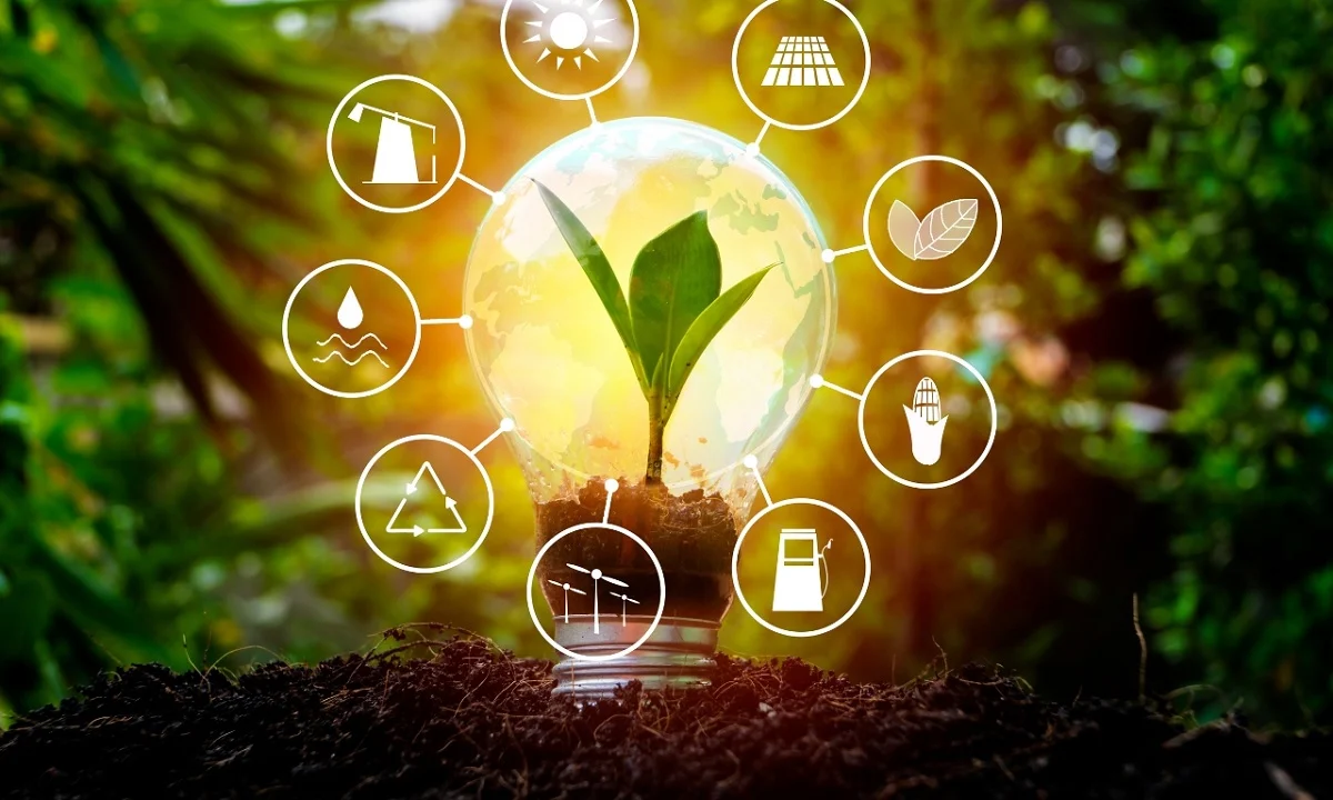 Cómo Eveon está ayudando a empresas a reducir costos con energía renovable
