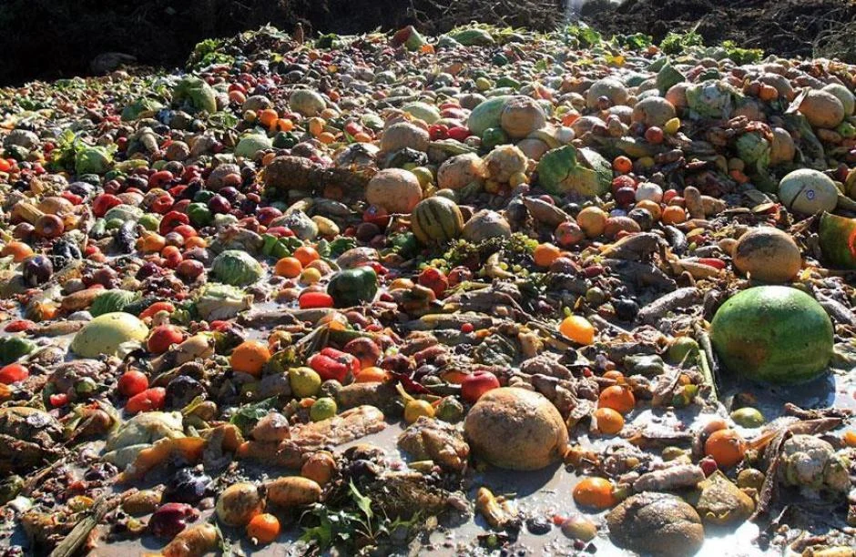 España frente a la crisis alimentaria: precios más altos, más comida en la basura