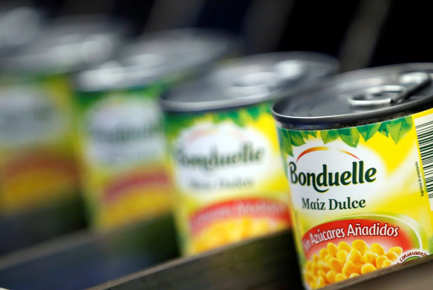 Bonduelle busca comprador para su línea de ensaladas envasadas en Francia y Alemania