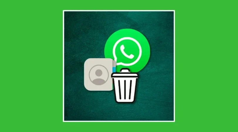Error WhatsApp
