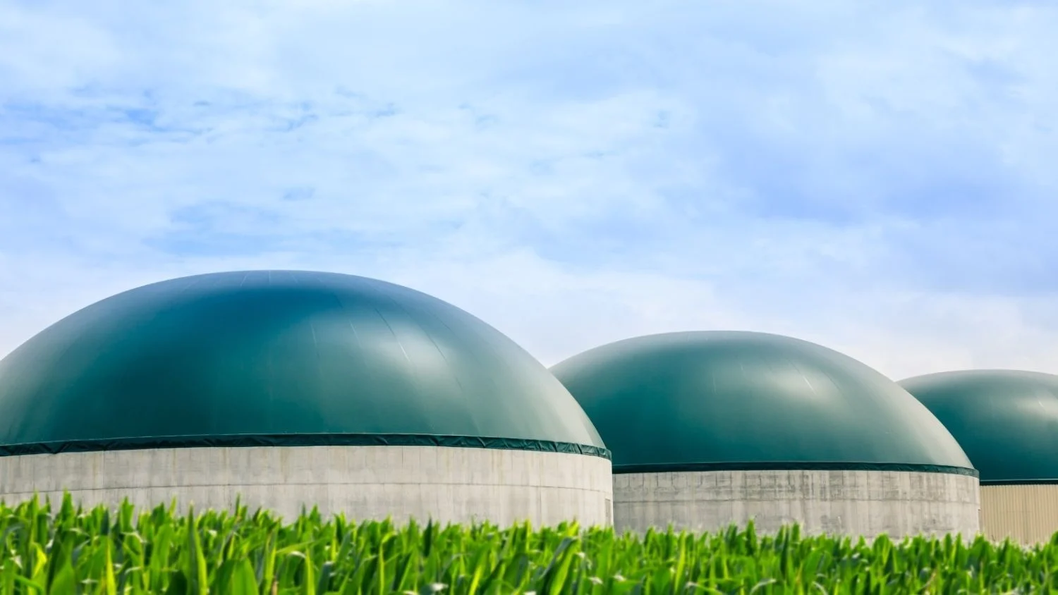 combustibles verdes - plantas de biogás