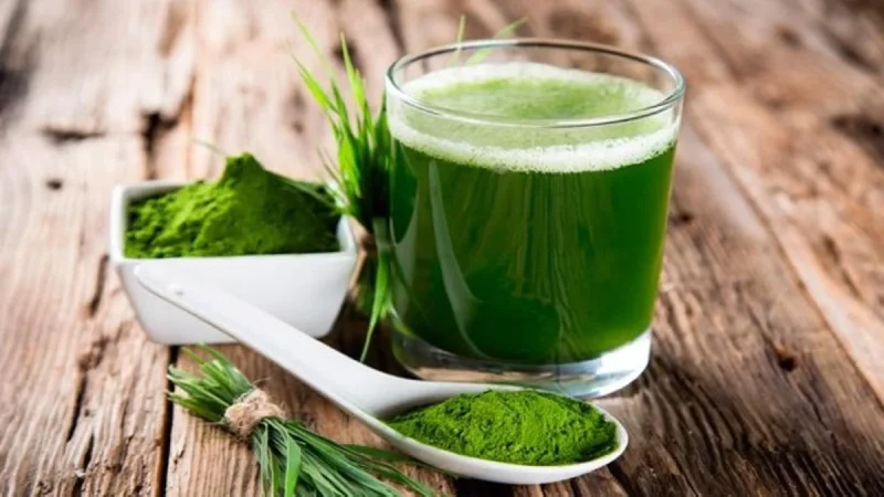 Beneficios de Chlorella