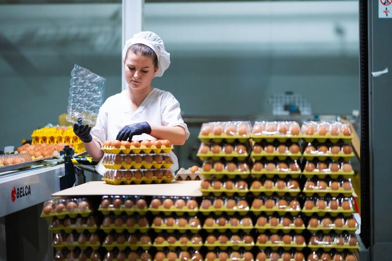 El sector del huevo en España bate récords con 2.278 millones facturados en 2023, un 30% más