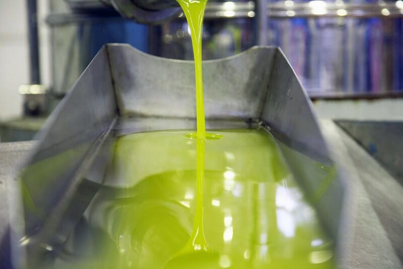 Planas cree que España logrará más de un millón de toneladas de aceite de oliva en la próxima campaña