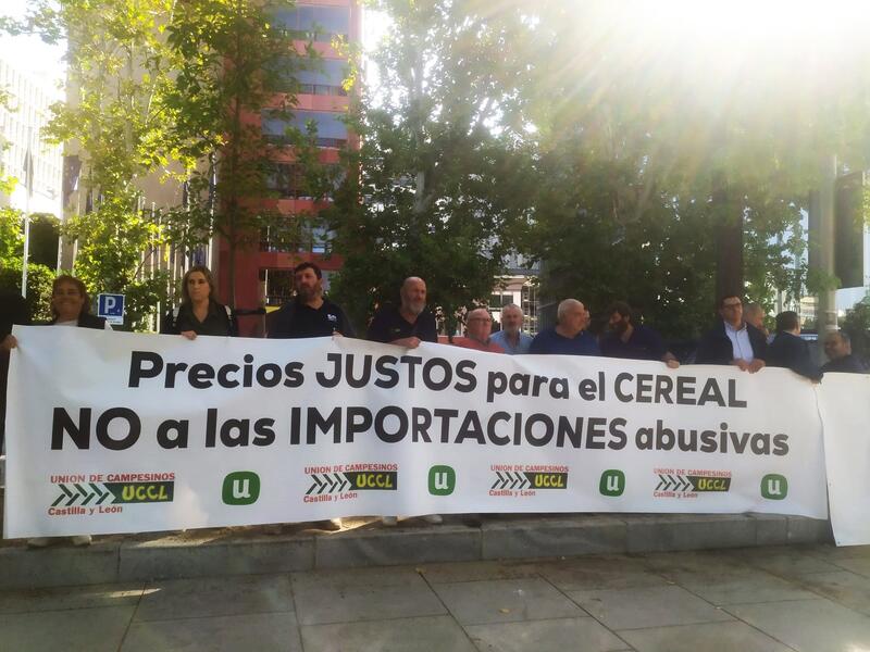 Unión de Uniones solicita a Bruselas que tome medidas sobre las importaciones de cereales de Ucrania