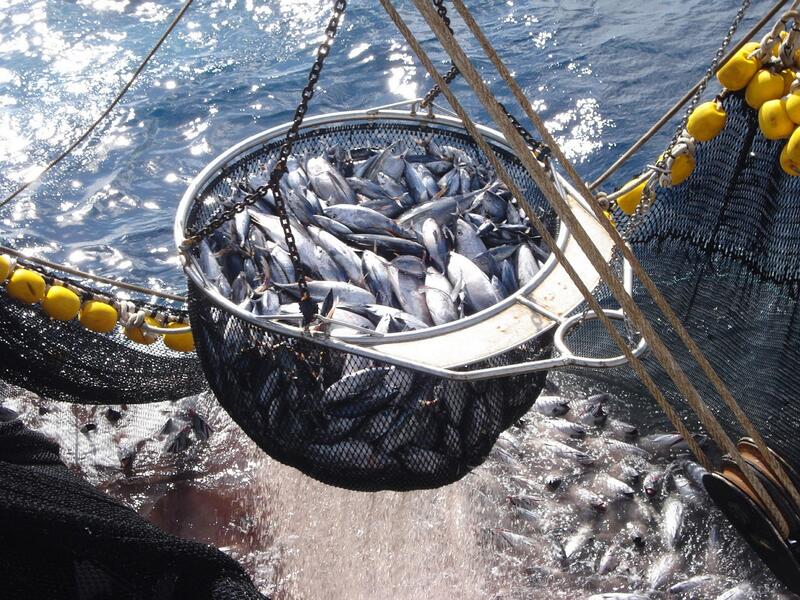La flota española solicita mayor colaboración de ORP del Pacífico para eliminar la pesca ilegal de atún tropical