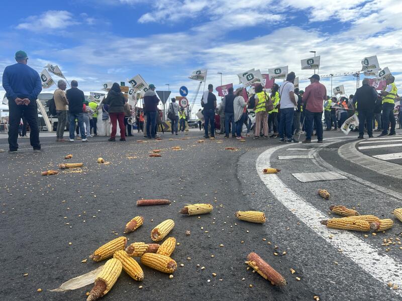 Los agricultores de Cantabria, Castilla y León y Extremadura se manifiestan en Santander contra la importación de cereales de Ucrania