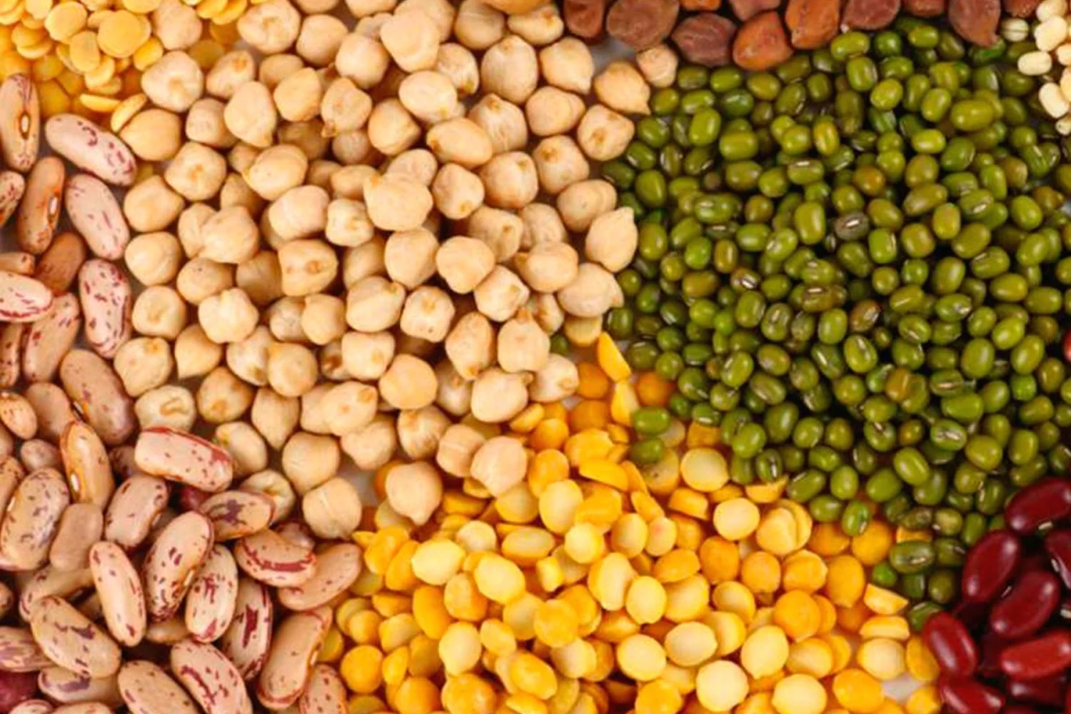 Hemos dejado de comer este alimento de nuestras abuelas pese a ser muy beneficioso