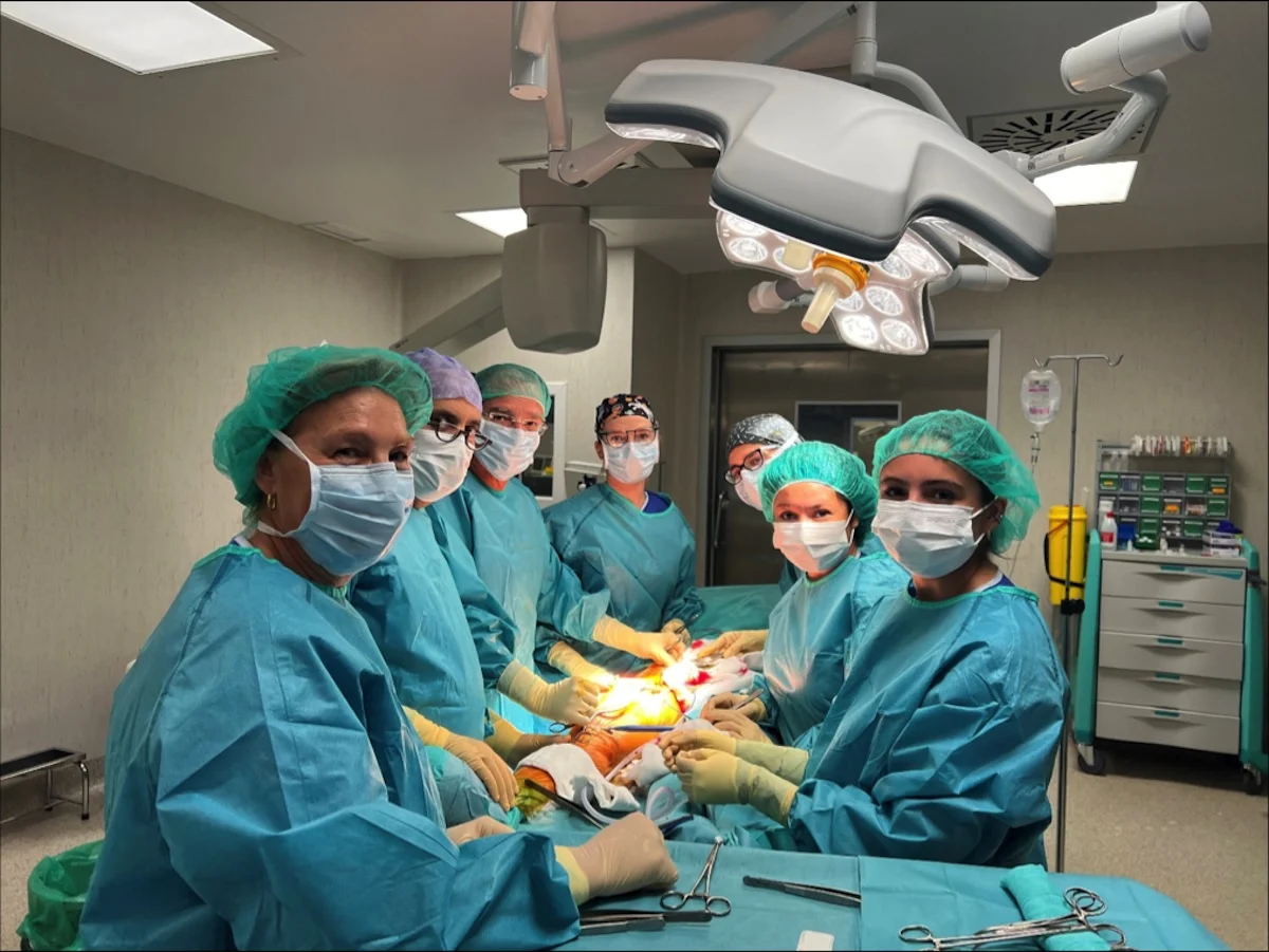 Un equipo superespecializado, un trato cercano con el paciente o la facilidad para conseguir citas y pruebas médicas, algunas de las claves para afrontar un sarcoma