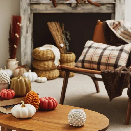 Primark celebra la llegada del otoño con una colección que te encantará 3 Merca2.es harvest herobanner square Merca2.es