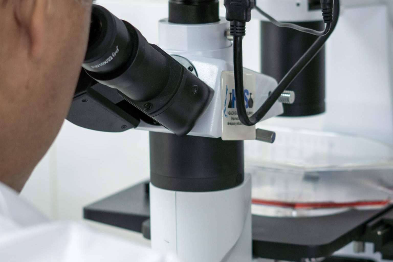 Oncovix, un nuevo horizonte en el tratamiento del cáncer a través del rescate inmunológico