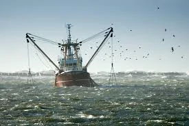 Anfaco solicita un diálogo europeo sobre el futuro de la pesca y critica la evaluación de la PPC