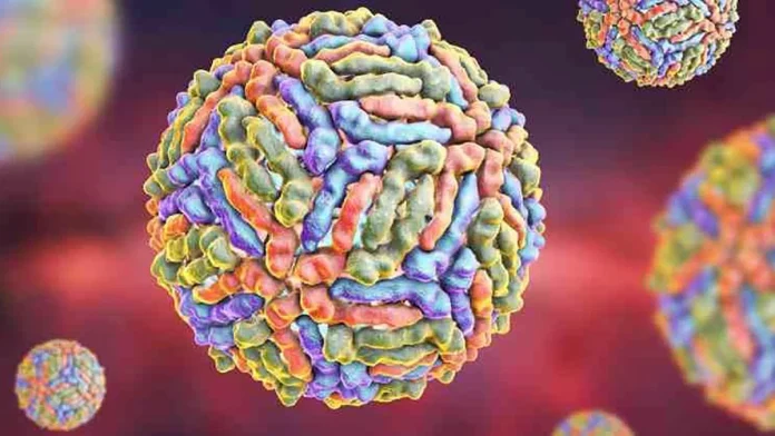 Todo sobre el virus del Nilo: Qué es, por qué llegó para quedarse y cómo protegerte