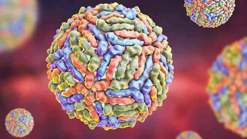 Todo sobre el virus del Nilo: Qué es, por qué llegó para quedarse y cómo protegerte