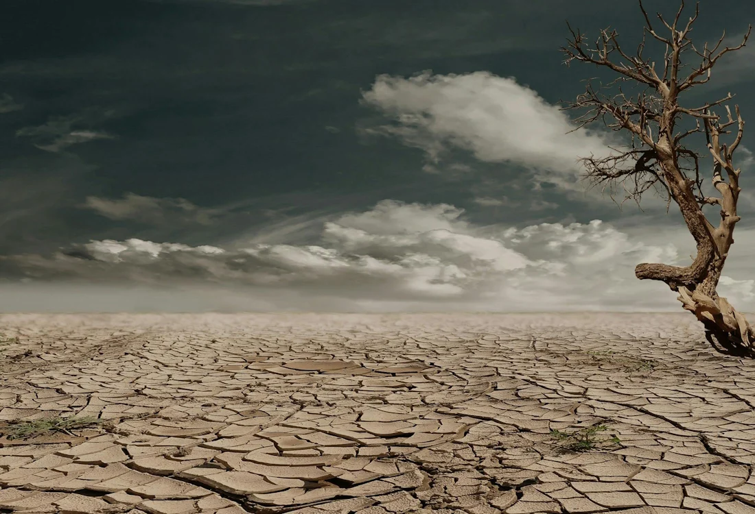 El impacto de las elecciones de Estados Unidos en el cambio climático
