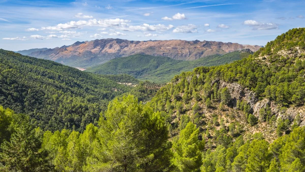 La Sierra de Cazorla, Segura y las Villas es un espectacular espacio natural situado en la provincia de Jaén