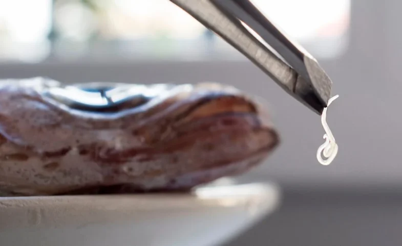 Las 10 claves de la OCU para evitar el Anisakis al consumir pescado