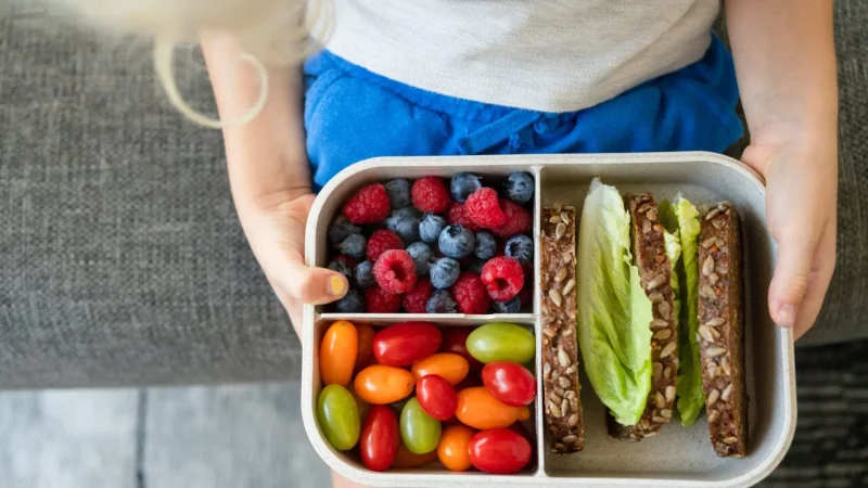 Opciones saludables para almuerzos y meriendas 