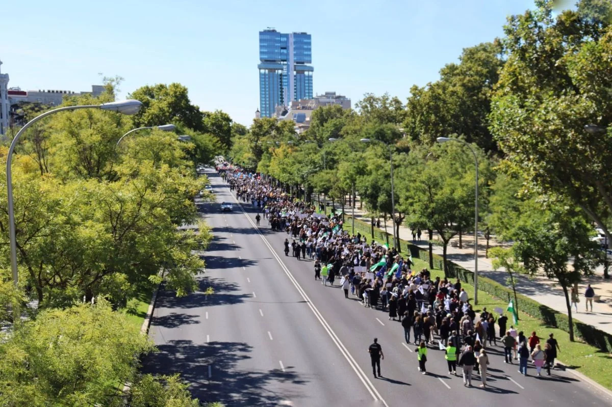 La convocatoria de la manifestación para pedir una «pasarela» al RETA no logra reunir a la mayoría de profesionales que cotizan en mutualidades