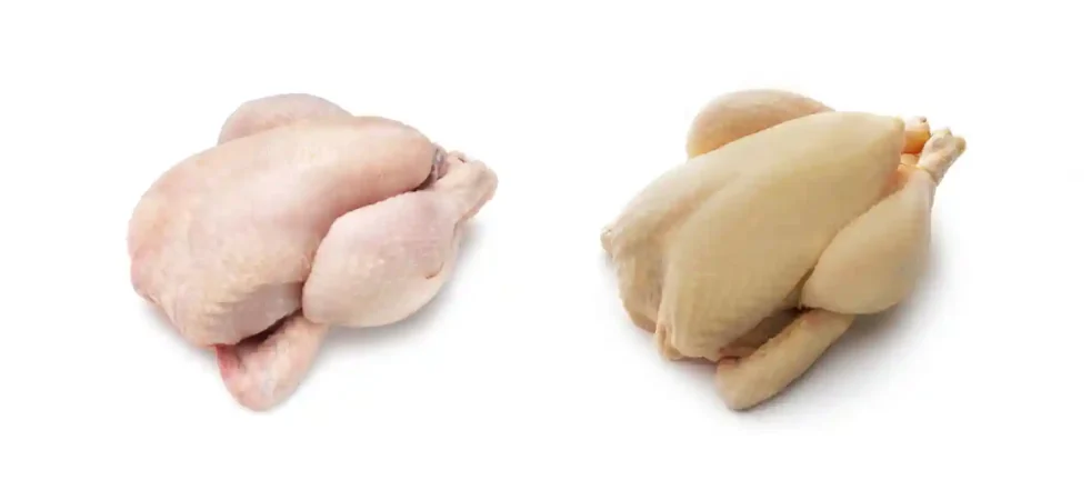 Las verdaderas diferencias entre el pollo amarillo y el blanco que deberías saber antes de elegir 