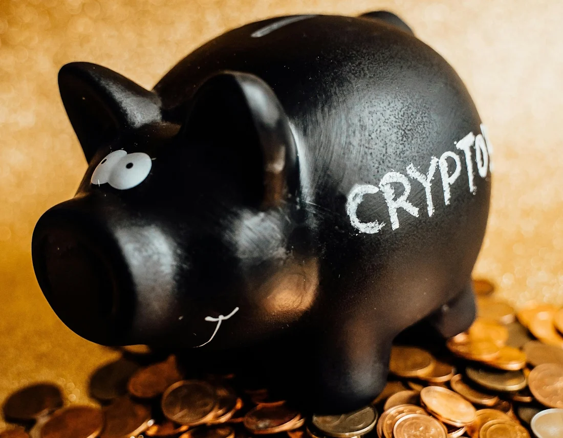 ¿De verdad crees que los robots bitcoin están programados para que tú ganes dinero?