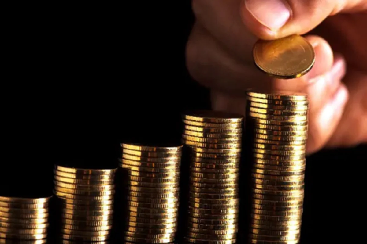 ¿Qué es el lucro? Un análisis profundo del concepto y su importancia económica