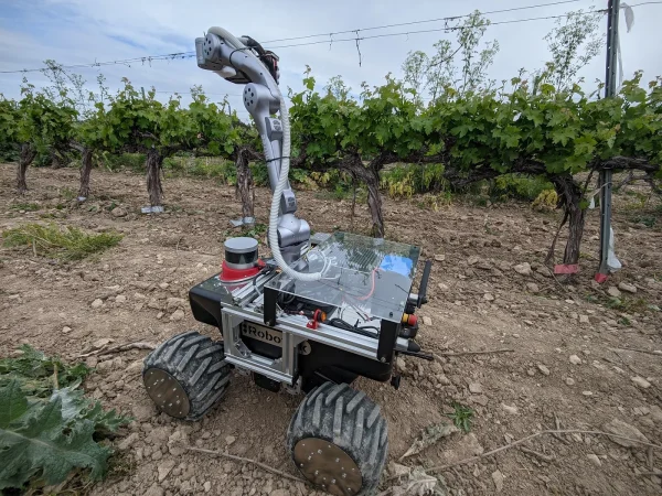 Telefónica y UPM monitorizan la cosecha de Bodegas y Viñedos Casa del Valle 1 Merca2.es Telefónica y UPM monitorizan la cosecha de Bodegas y Viñedos Casa del Valle