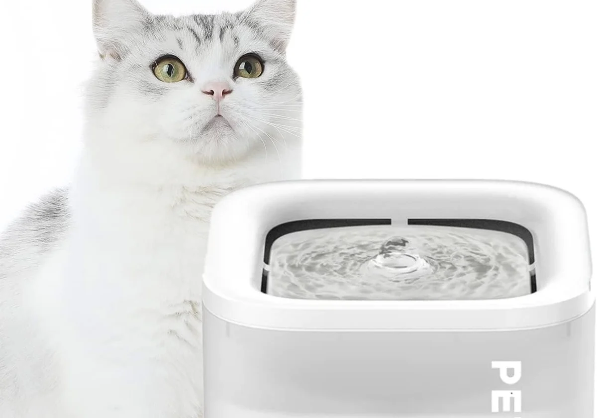 Cuida de tus animales con estos artículos en oferta de Amazon