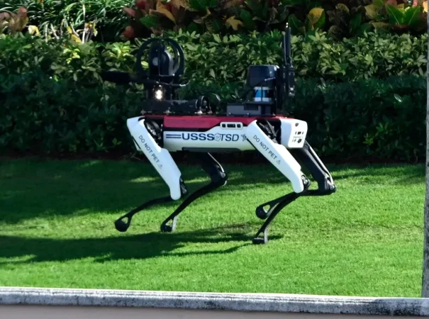 Robot Trump