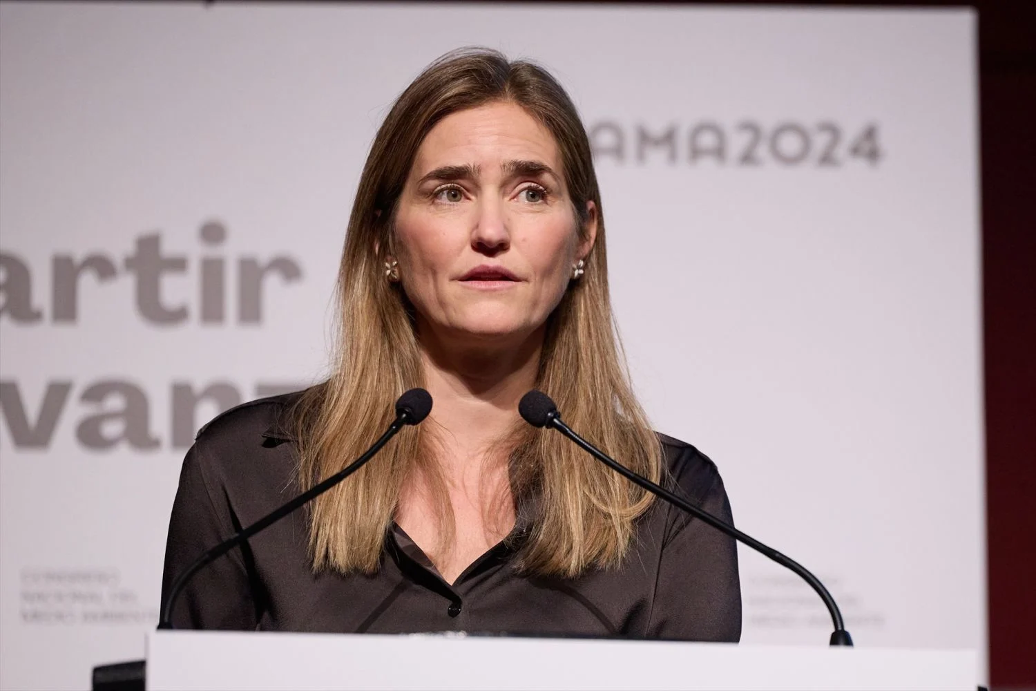 El almacenamiento se abre paso en la agenda de Sara Aagesen