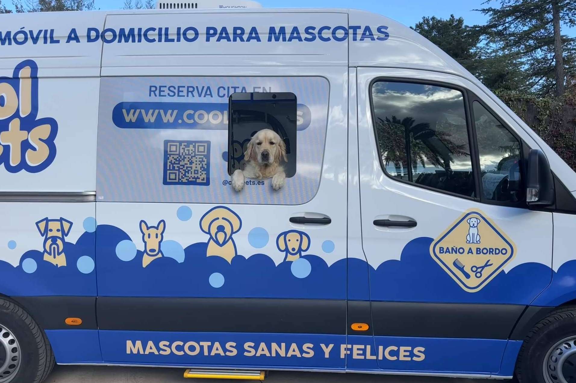 Cool Pets presenta su innovador servicio de peluquería móvil a domicilio para mascotas