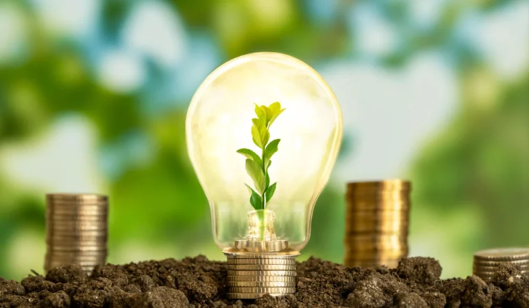 Eficiencia energética y ahorro 