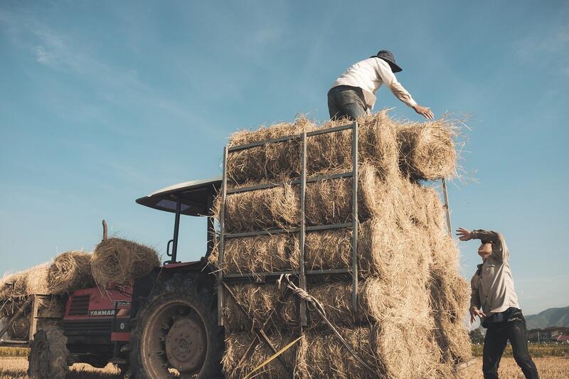 Unión de Uniones solicita al Gobierno la prórroga de límites para el régimen simplificado y especial agrario del IVA