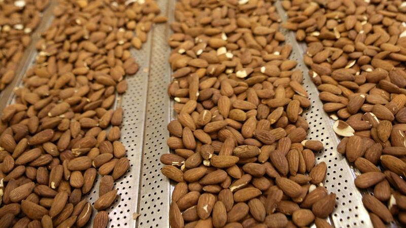 Borges lanza una OPA de exclusión sobre su filial de frutos secos Bain para sacarla de Bolsa