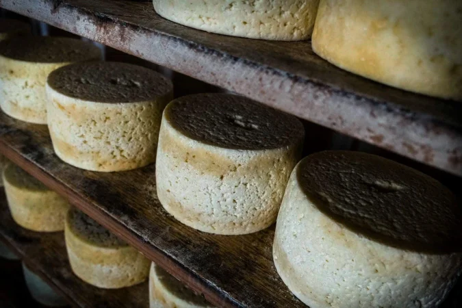 Bulnes descubre donde tomar el mejor queso de Cabrales en un entorno unico 2 Merca2.es