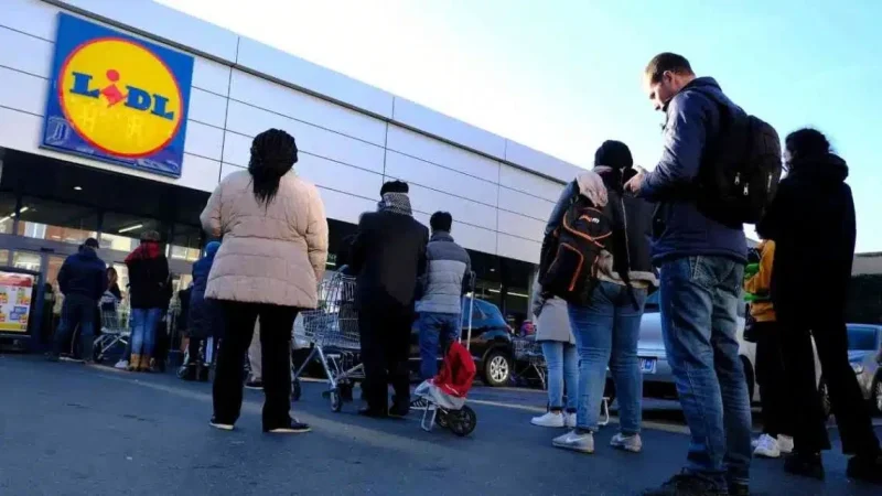 La verdura congelada de Lidl que todos están comprando gracias a su nuevo truco de marketing 42 Merca2.es Estrategia de marketing efectiva: Cómo Lidl está revolucionando la compra de verdura congelada