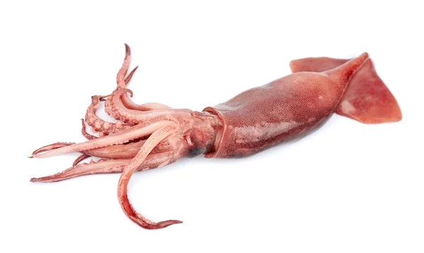 Prepara los calamares
