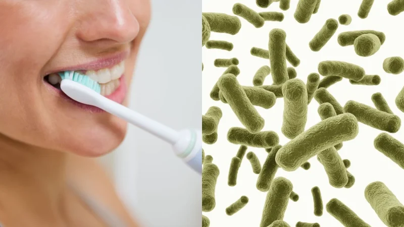 Consejos para mantener el cepillo de dientes seguro y limpio