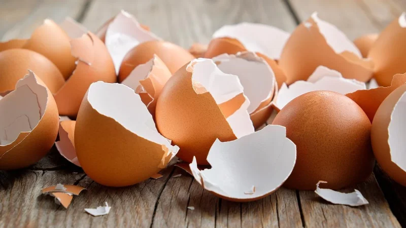 Huevos: ¿cómo saber si siguen frescos?