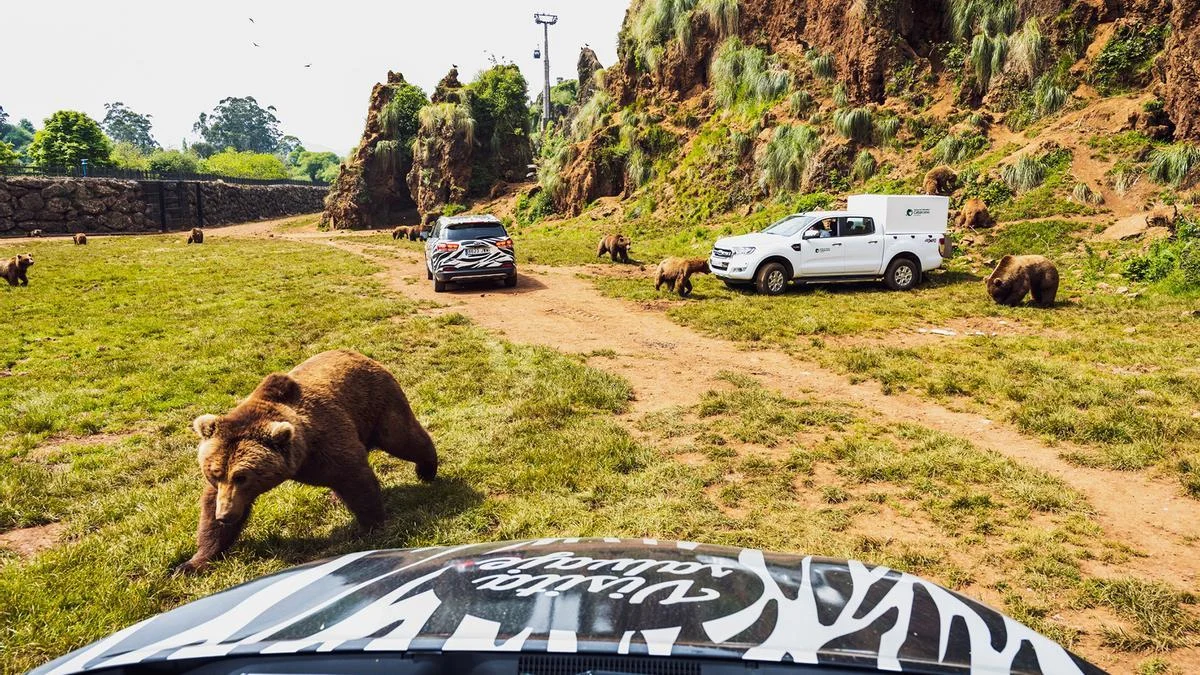 Visita en Cantabria el Parque de Cabárceno, para muchos el mejor zoológico de España
