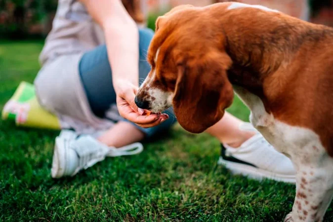 Consiente a tu mascota como nunca con el nuevo producto viral de Mercadona 6 Merca2.es Snack Mercadona