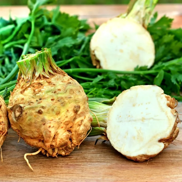 Apio. huerto de verduras