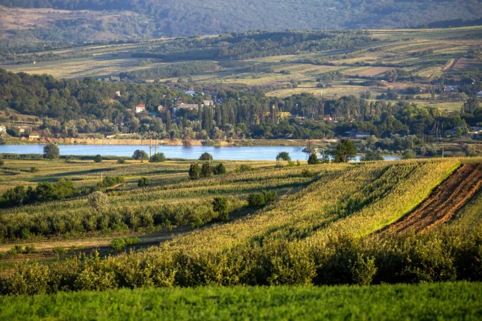 La Rioja Alavesa, no se nos ocurre un destino mejor para los amantes de la enología